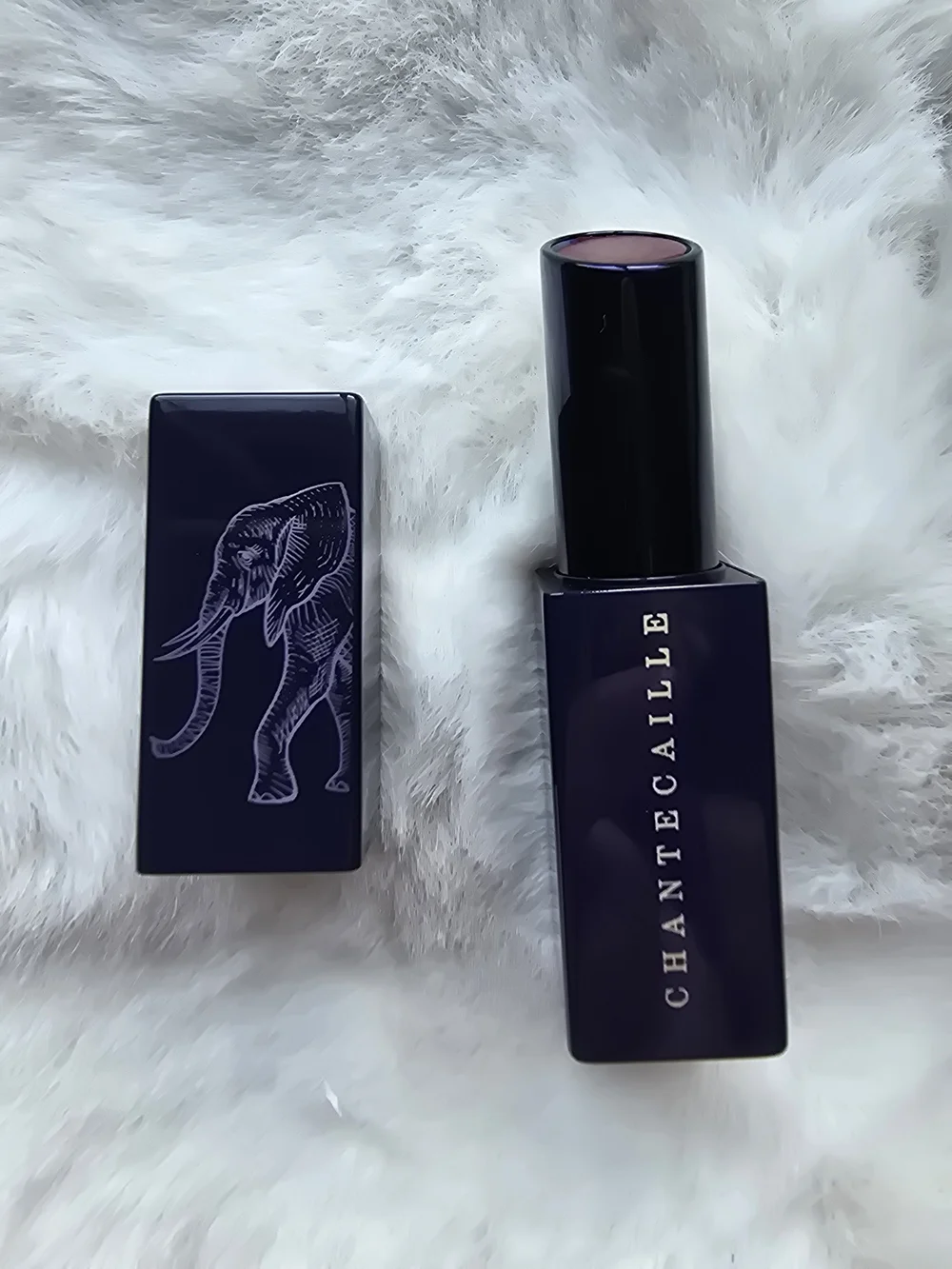 Chantecaille Lip Veil in Elderberry Hydrating Lip Color